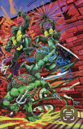 Teenage Mutant Ninja Turtles #19 - Virgin Foil